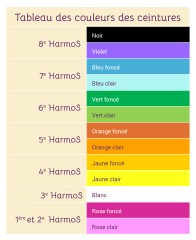 Les ceintures de couleur